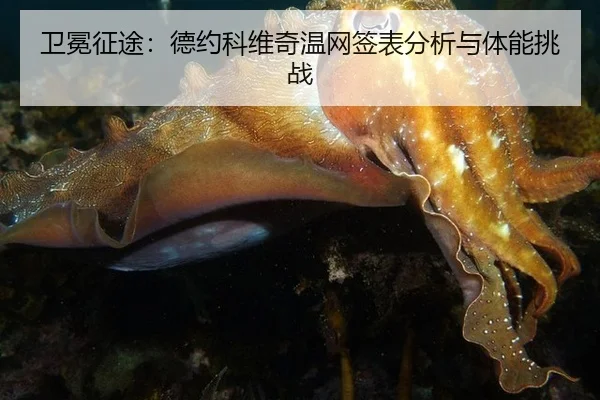 wei-mian-zheng-tu-de-yue-ke-wei-qi-wen-wang-qian-biao-fen-xi-yu-ti-neng-tiao-zhan-3-545.jpg